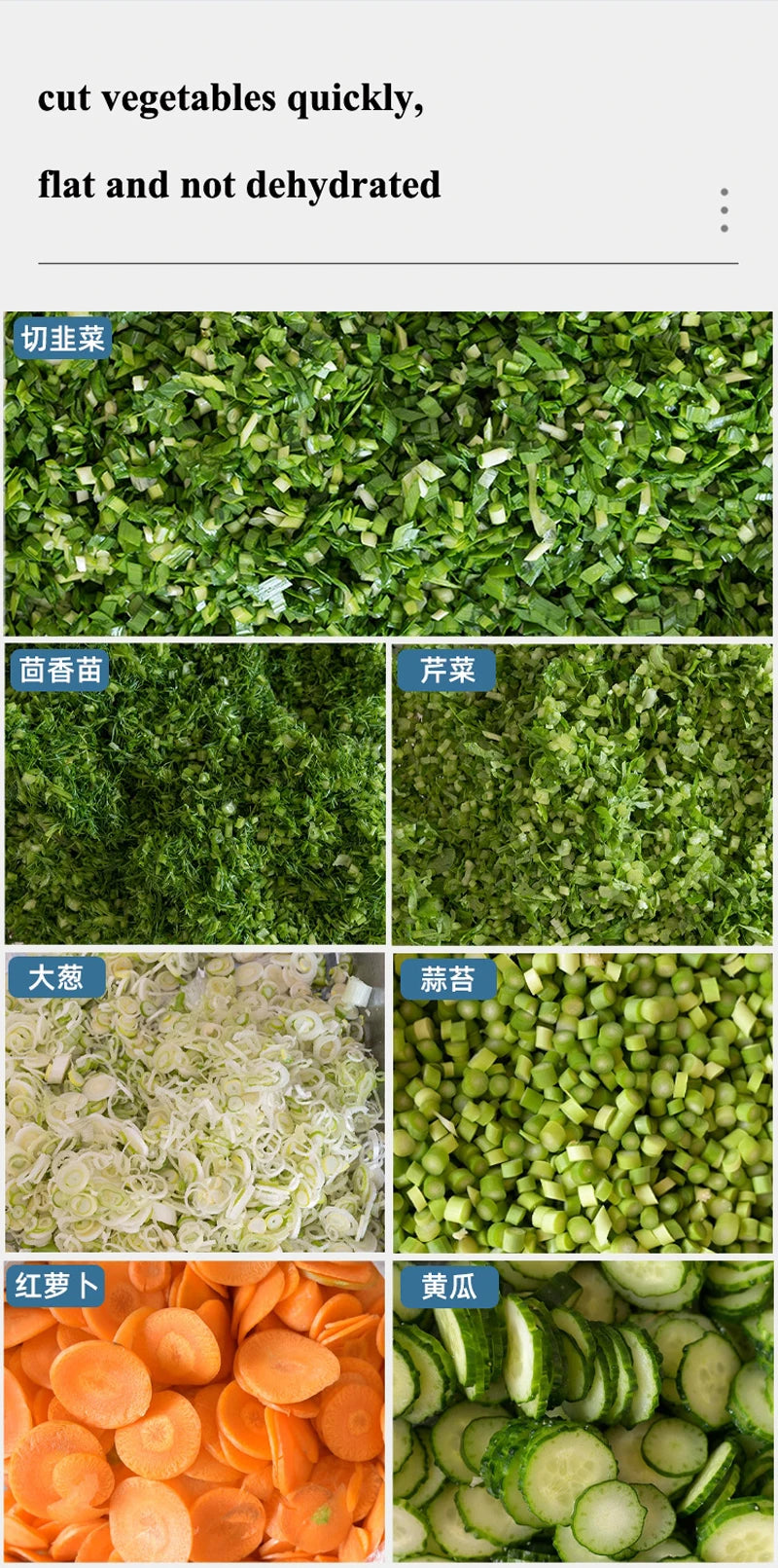 Commercial Vegetable Cutter Stainless Steel Electric Slicer Cut