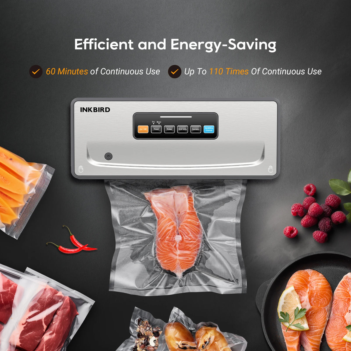 Inkbird Ink-Vs06 Vacuum Packing Machines