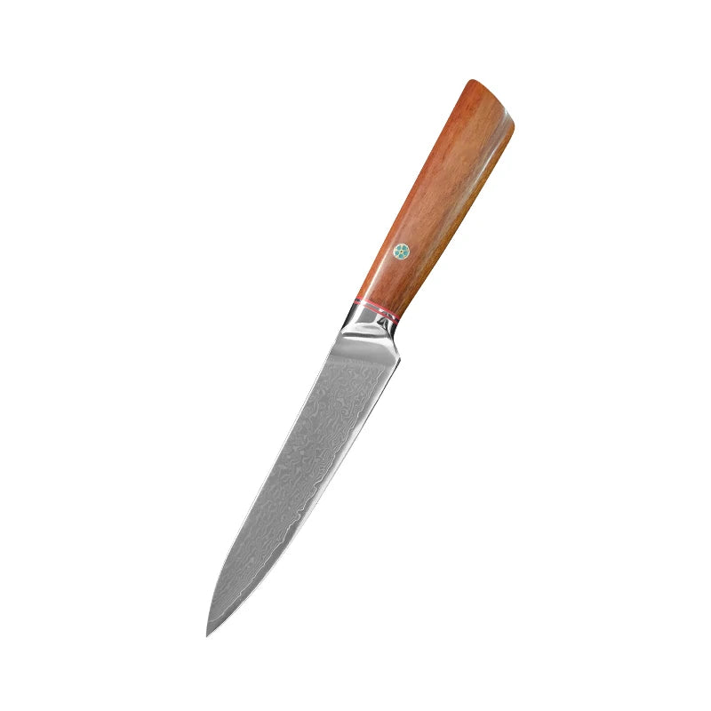 Damascus Steel Professional Chef Knife Super Sharp Cutting