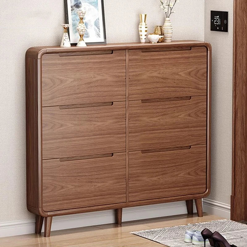 Modern Organizer Shoe Cabinet Storage Mobile Display Living