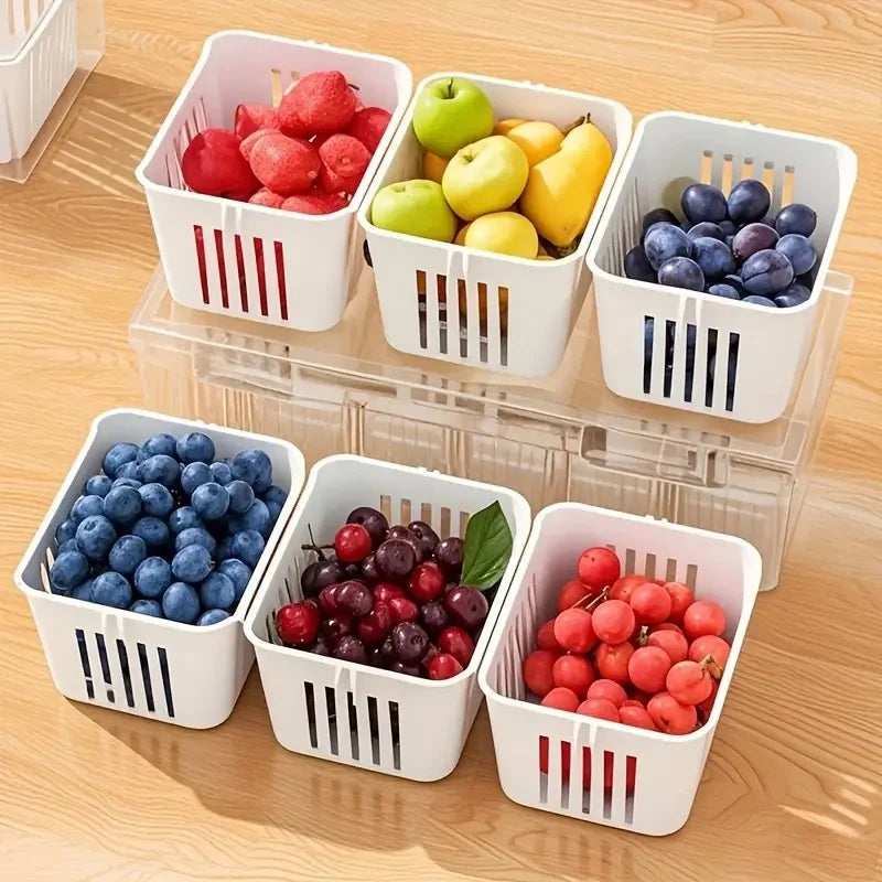 Of Food Storage Containers Square Transparent Compartments