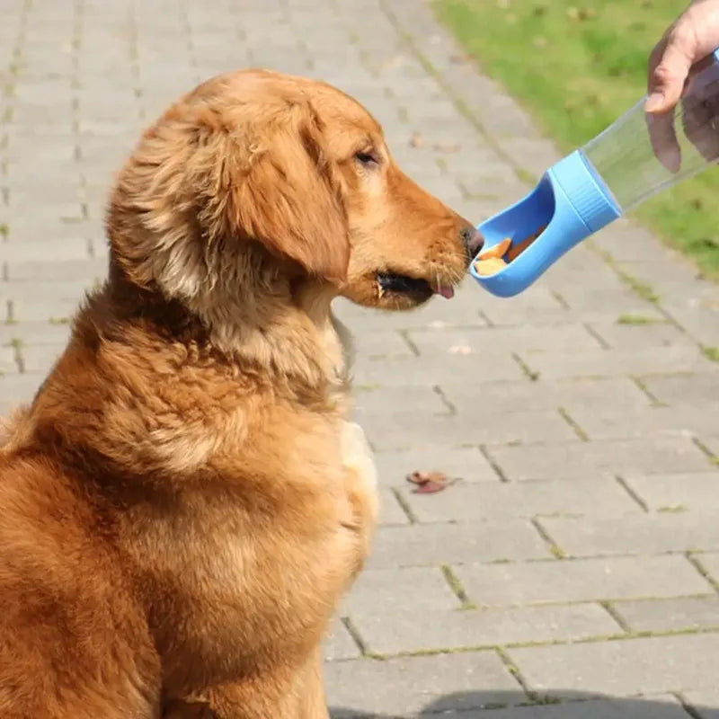 320ml Dog Water Bottle Food Container Travel In