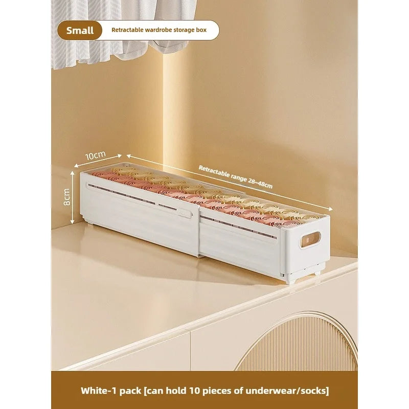 Adjustable Clothes Storage Box Closet Organizer Categorized