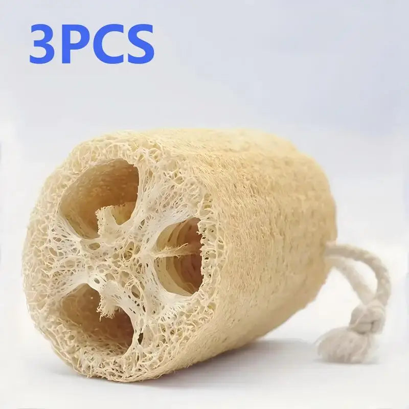 1/3/5pcs Natural Loofah Dish Brush Pot Brush Cleaning