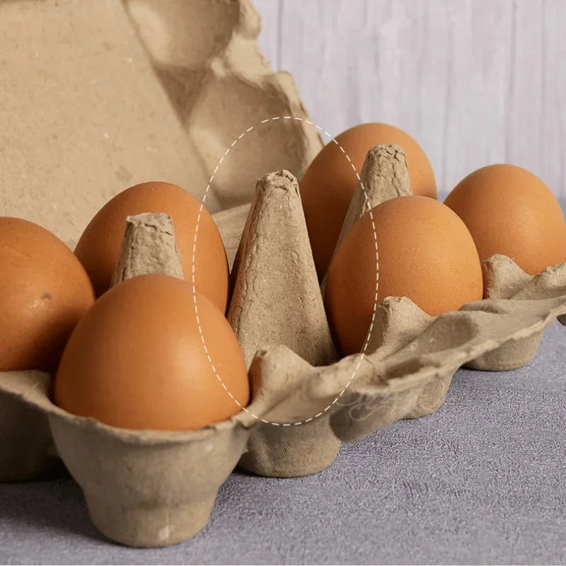 Grids Egg Packaging Box Pulp Material Egg Box
