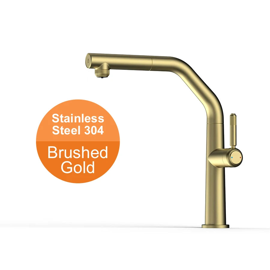 Vgx Faucet Dual Spout Pure Drinking Water Tap