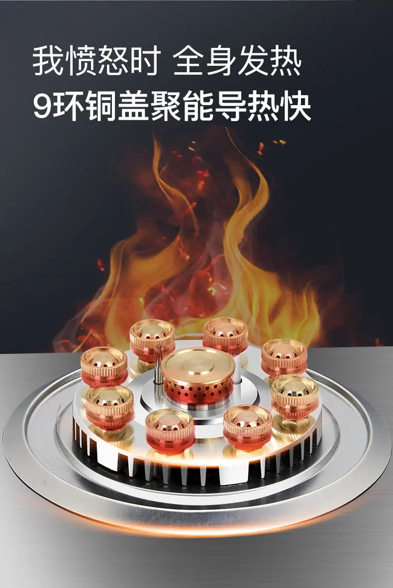 Built-In Kitchens Cookers Gas Stove Stove Stainless Steel