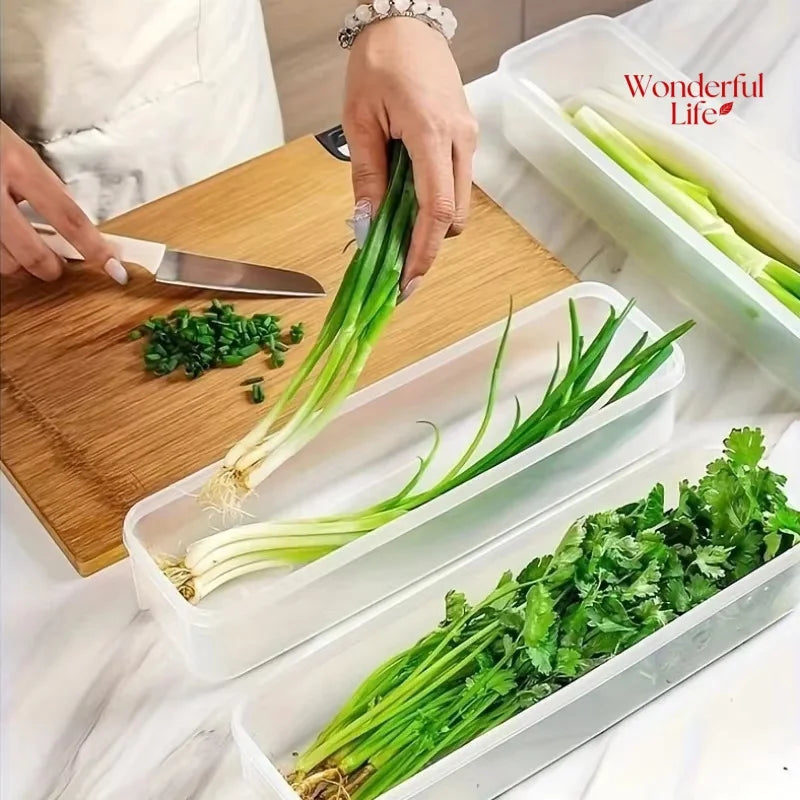 Storage Box Fresh-Keeping Food Storage Container Cold