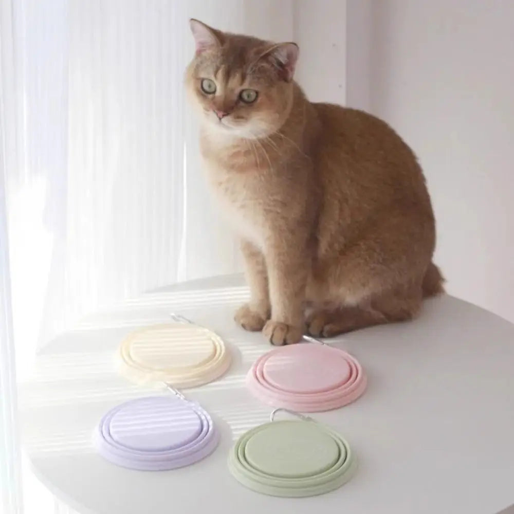 Collapsible Dog Bowl Multipurpose 350ml Large Capacity Puppy