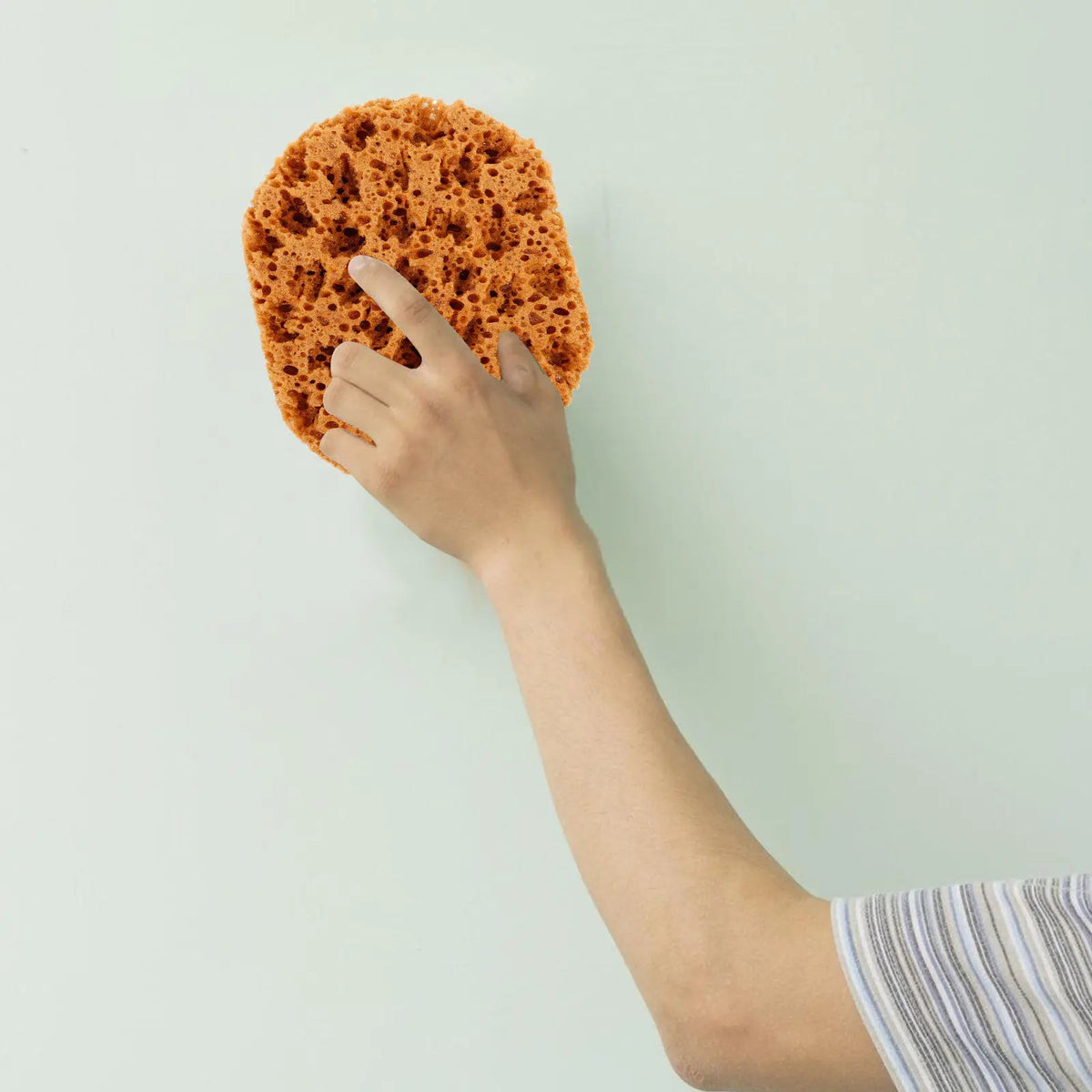 Sea Sponge Painting Comfortable Reusable Sponge Blending Art