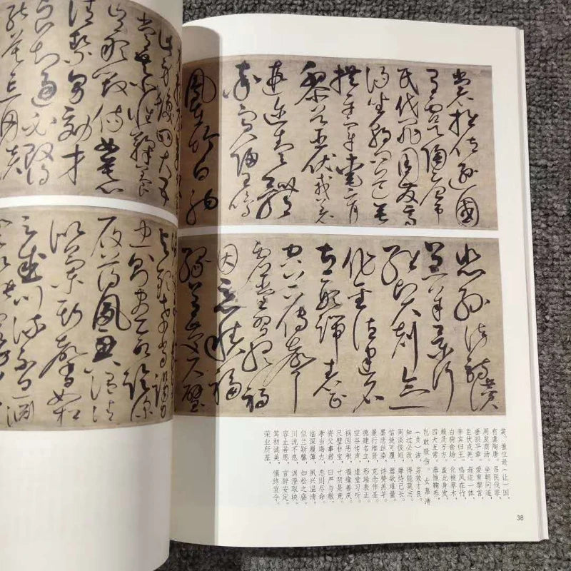 Multiple Styles Calligraphy Copybooks Chinese Thousand