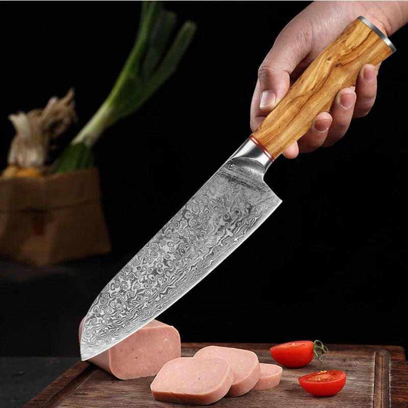 Damascus Steel Knife 67 Layer Slicing Knife Meat