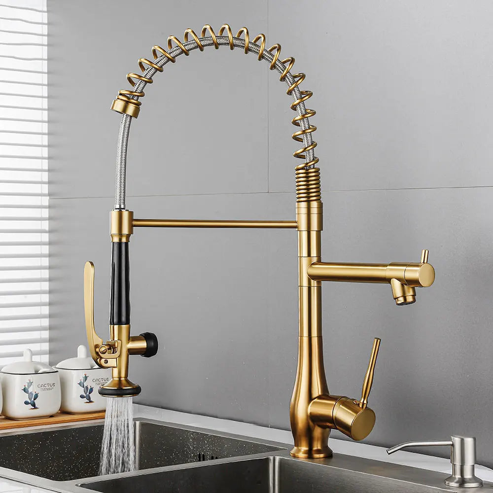 Faucet Brushed Nickel Pull-Out Faucet Swivel Dual Purpose