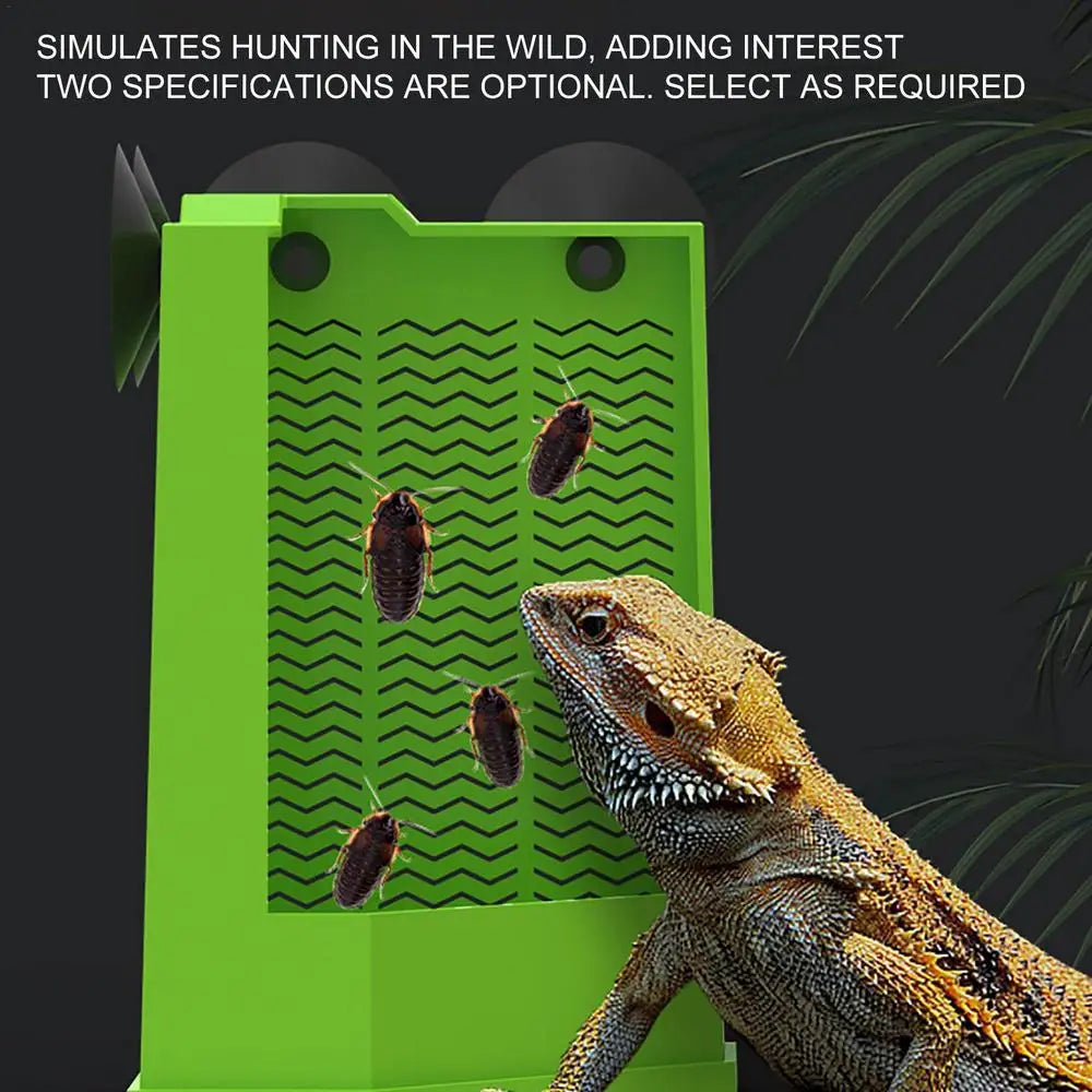 Reptile Food Dish Reptile Feeding Bowls Reptile Dish