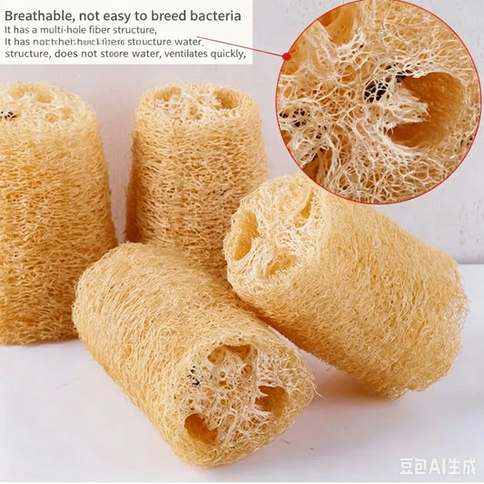1/3/5pcs Natural Loofah Dish Brush Pot Brush Cleaning