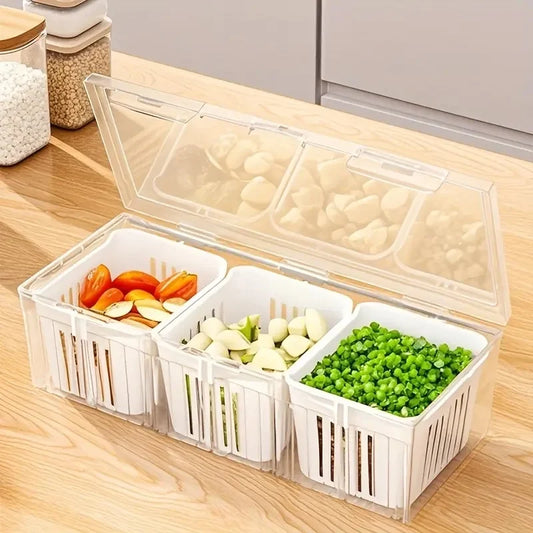 Of Food Storage Containers Square Transparent Compartments