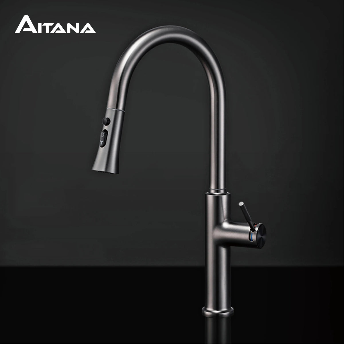 Aitana Pull Out Design Gun Grey Faucet Simple
