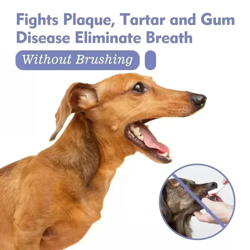 Pet Oral Care Spray Dogs Daily Teeth Cleaning