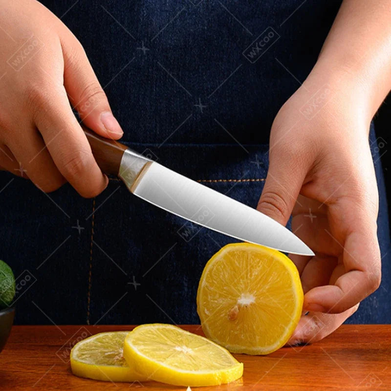 Professional Japanese Knives Santoku Knife Stainless Steel Fish