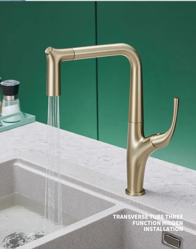 Faucet Pull Out Water Filter Tap Brass Crane