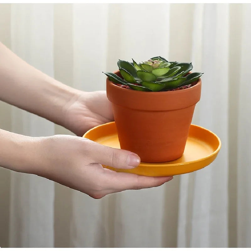-Selling Plastic Bone-Spitting Dish Elegant & Practical Serving