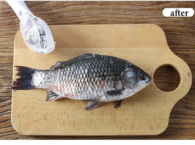 Fish Scales Graters Scraper Fish Cleaning Scraping Scales