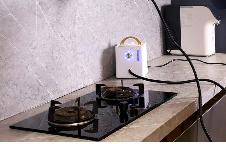 2600w Steam Cleaner Steamer Steam High Pressure Cleaner