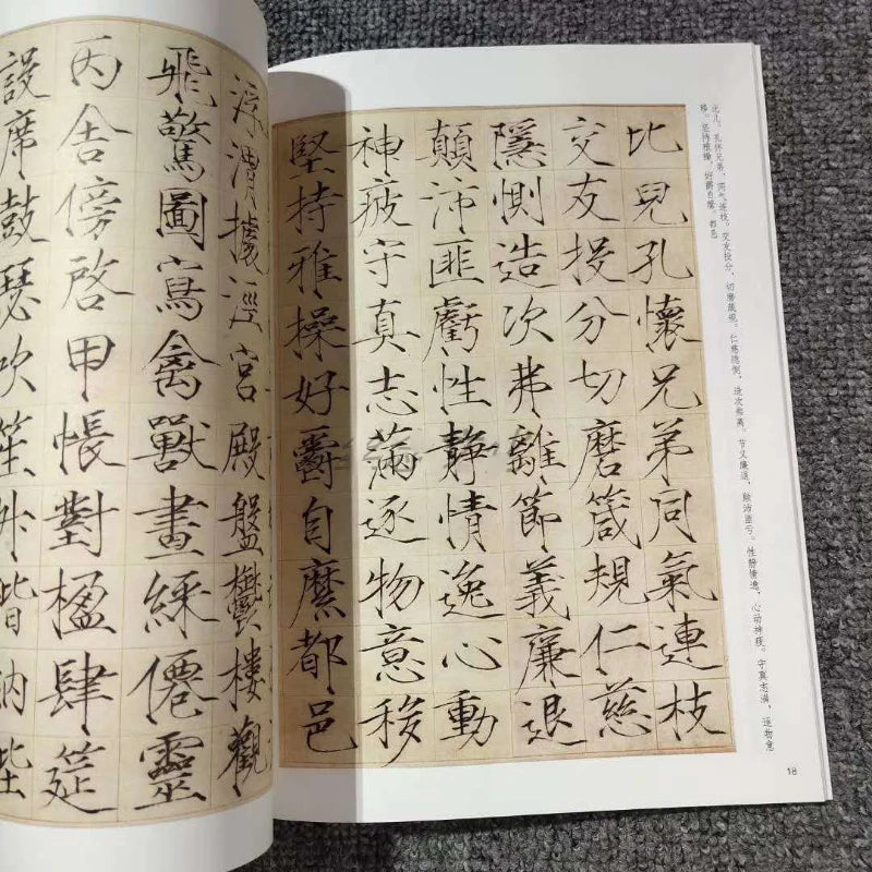 Multiple Styles Calligraphy Copybooks Chinese Thousand