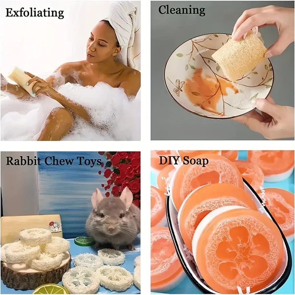 1/3/5pcs Natural Loofah Dish Brush Pot Brush Cleaning