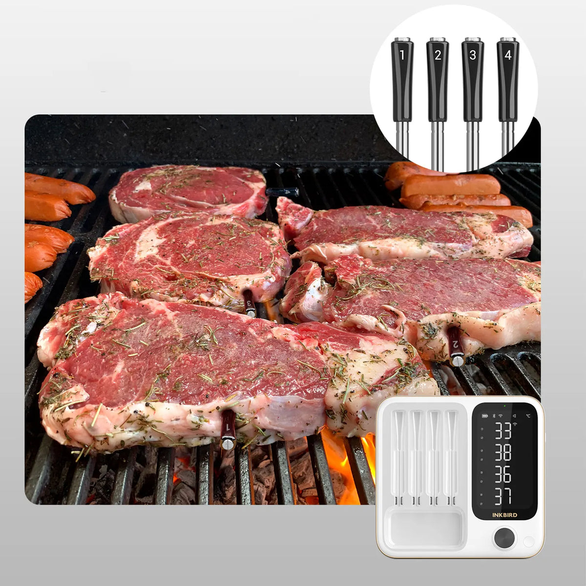 Inkbird Int-14-Bw Wifi Bluetooth Meat Thermometer Probes Wireless