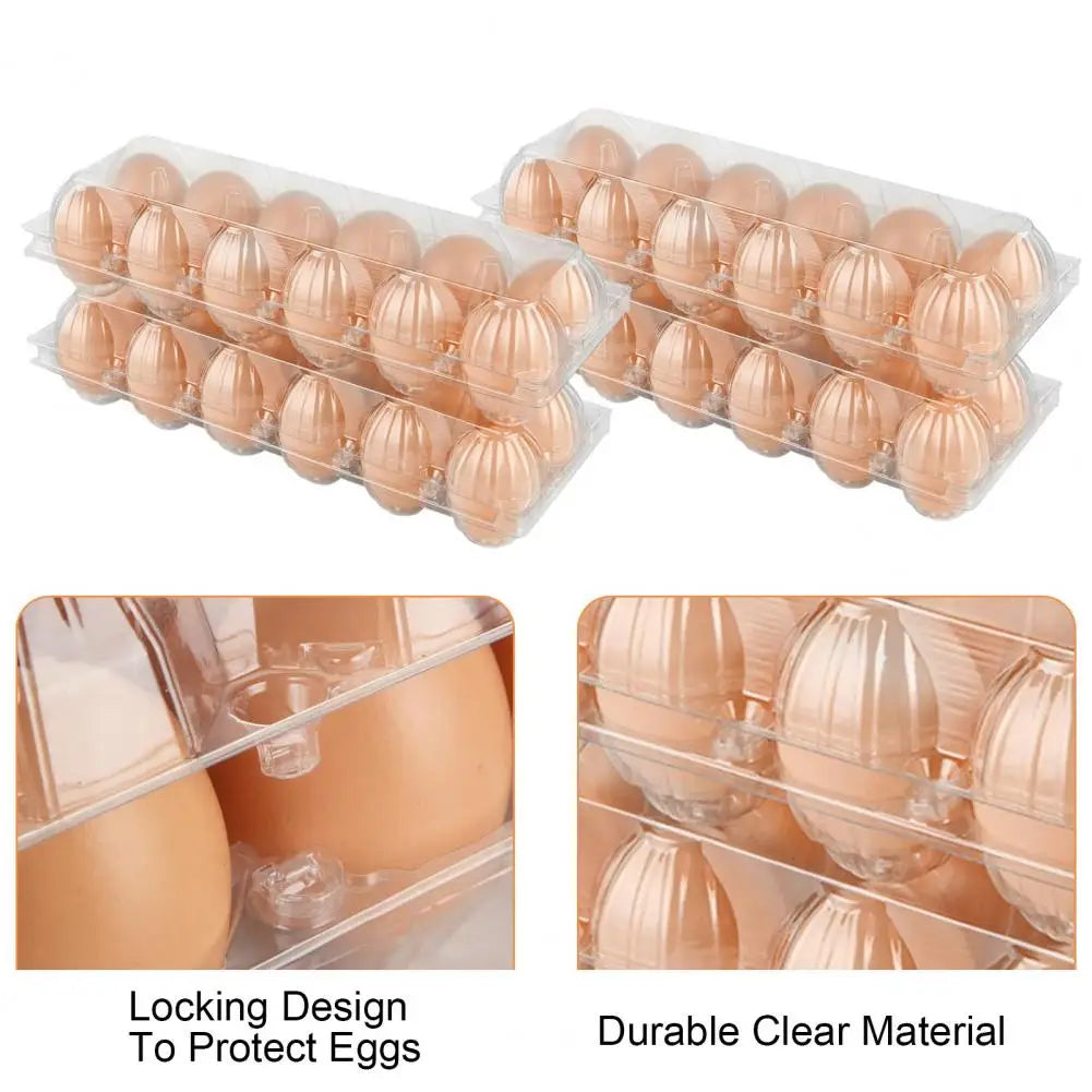 50pcs Egg Holder Plastic Cartons 12 Count Reusable