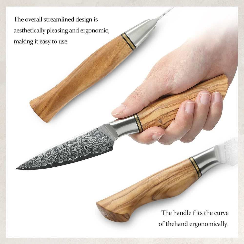 Hezhen Inch Paring Knife 67 Layer Damascus Steel
