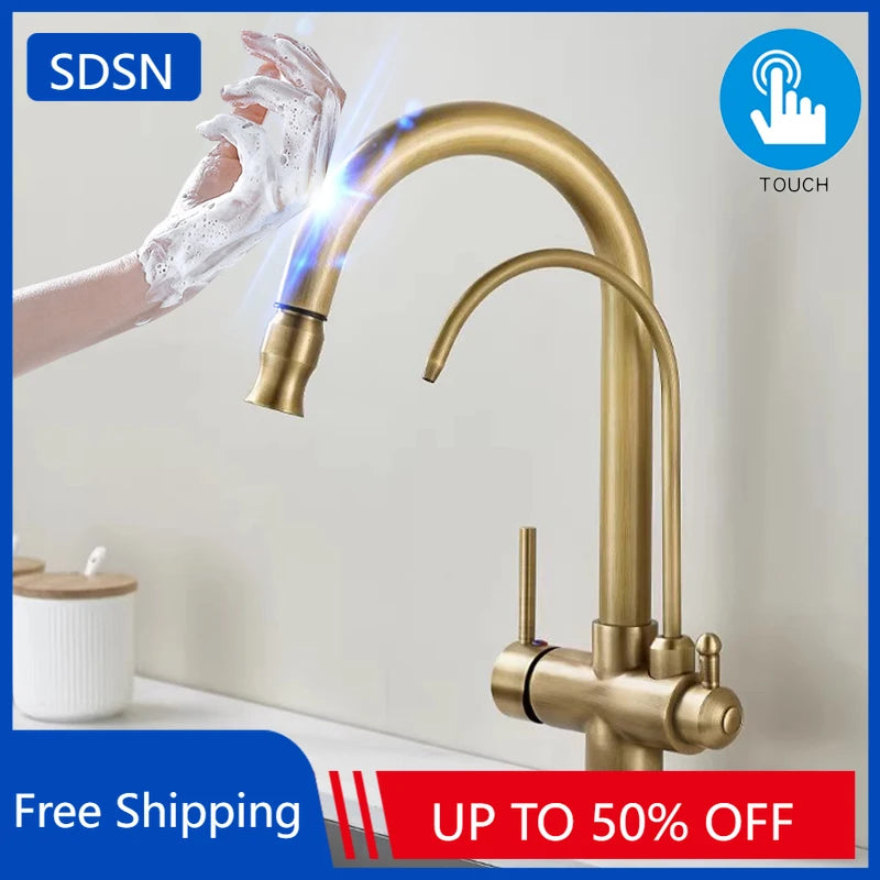 Antique Touch On Filter Sink Faucets Ways Pure