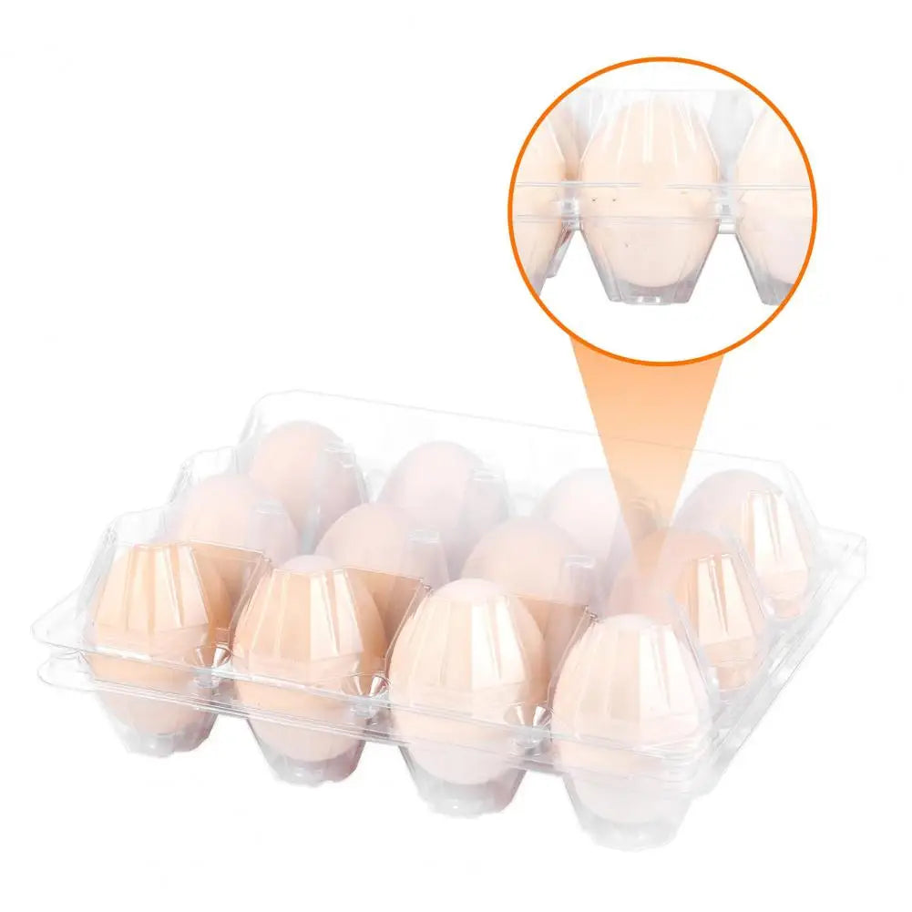 50pcs Egg Holder Plastic Cartons 12 Count Reusable