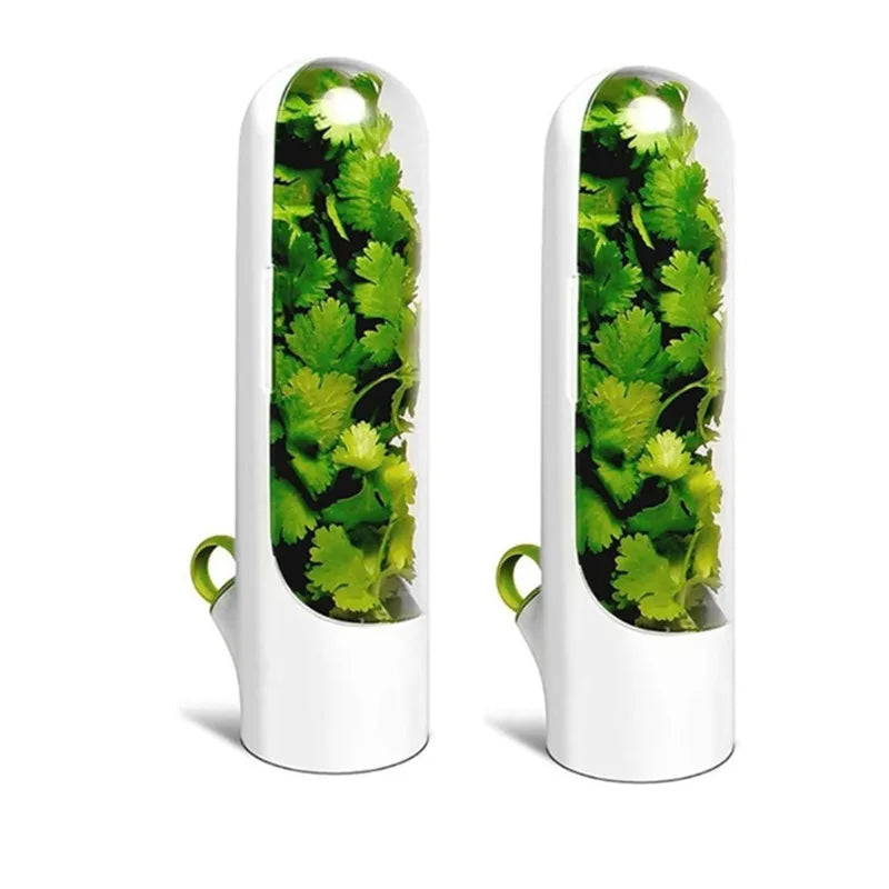 1/2/3pcs Green Fresh Herb Keeper Vanilla Vegetables Fresh
