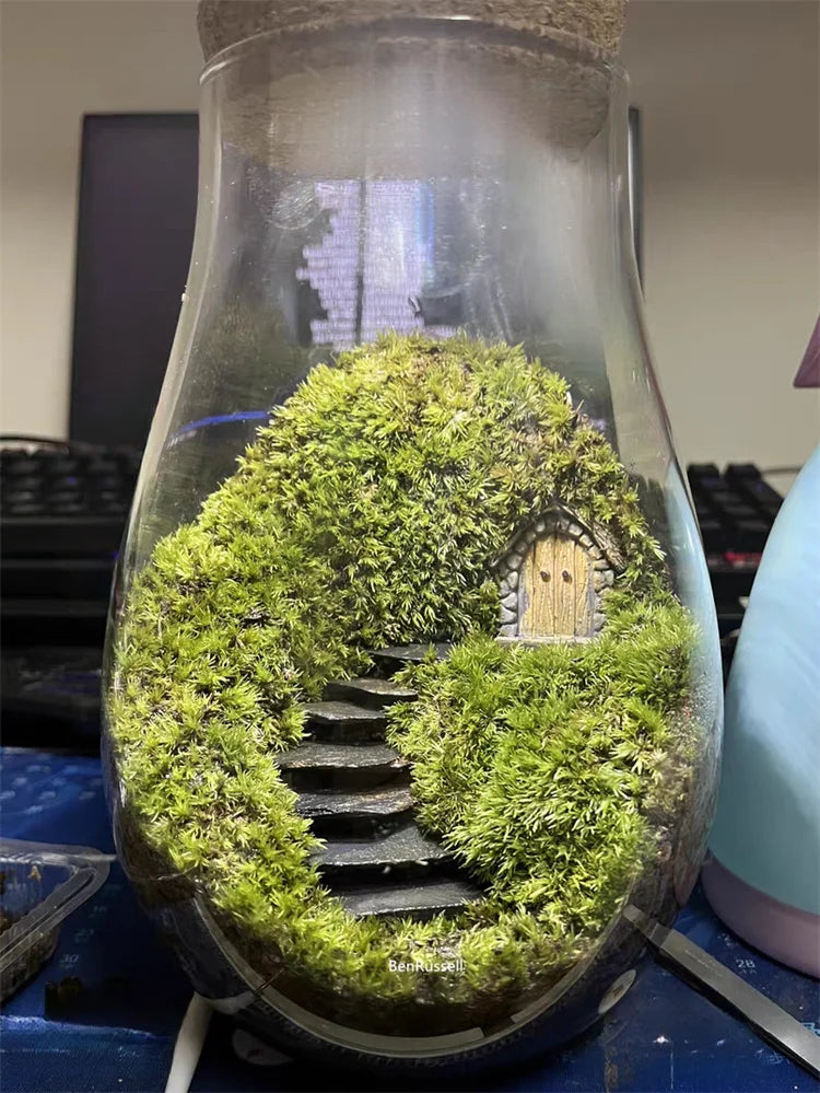 Water Droplets Shape Glass Jars Micro Landscape Ecological
