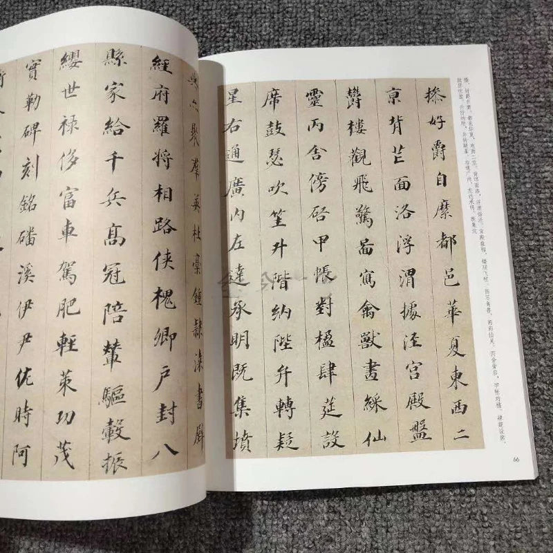 Multiple Styles Calligraphy Copybooks Chinese Thousand