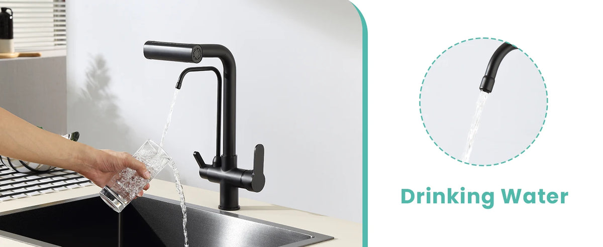 Way Pure Water Filter Faucets Black Pull Out