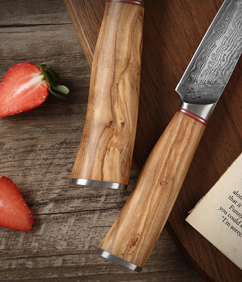 Damascus Steel Knife 67 Layer Slicing Knife Meat