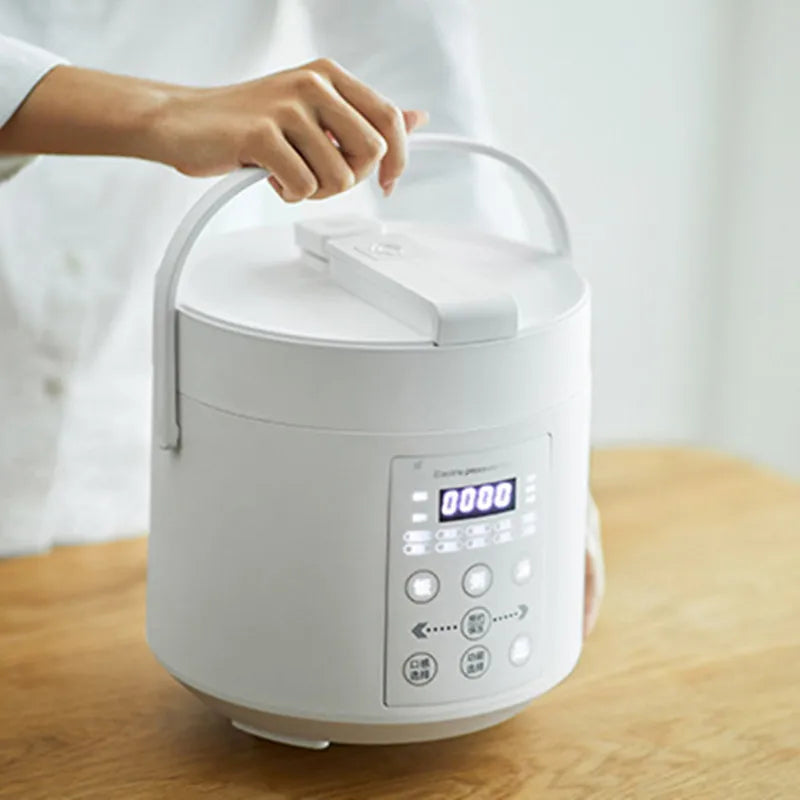Mini Rice Cooker Ceramic Coated Pot 2l Travel