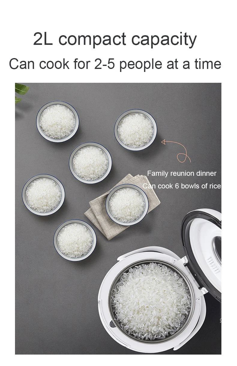 12v/24v Electric Pressure Cooking Pot Car Truck Smart
