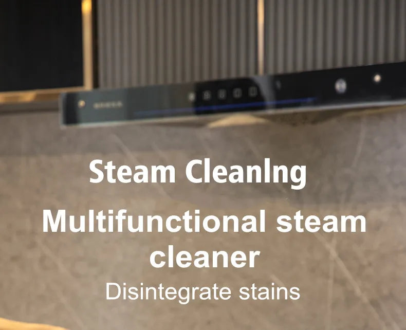 2600w Steam Cleaner Steamer Steam High Pressure Cleaner