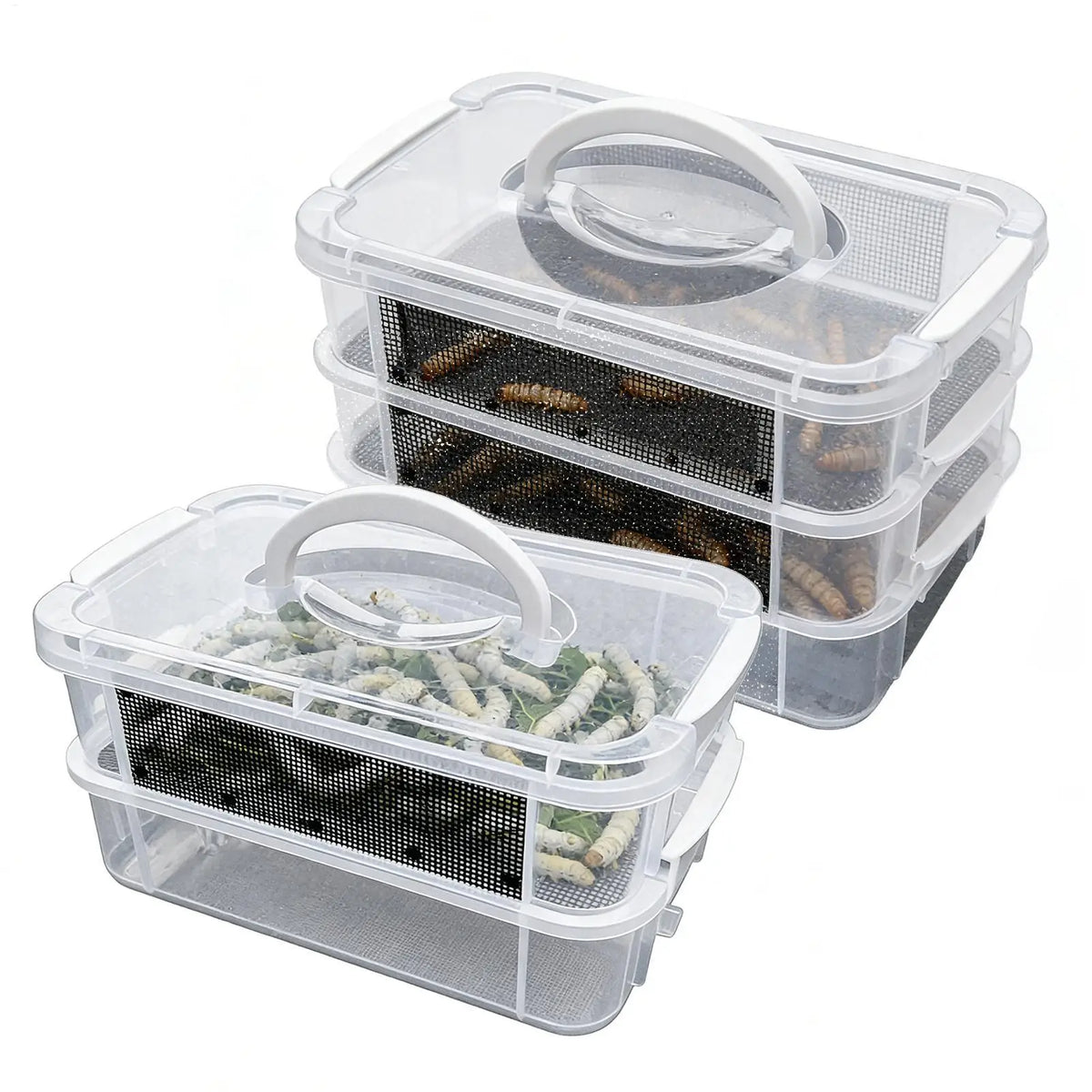 Mealworm Farm 2/3 Layer Clear Mesh Breeder Bin