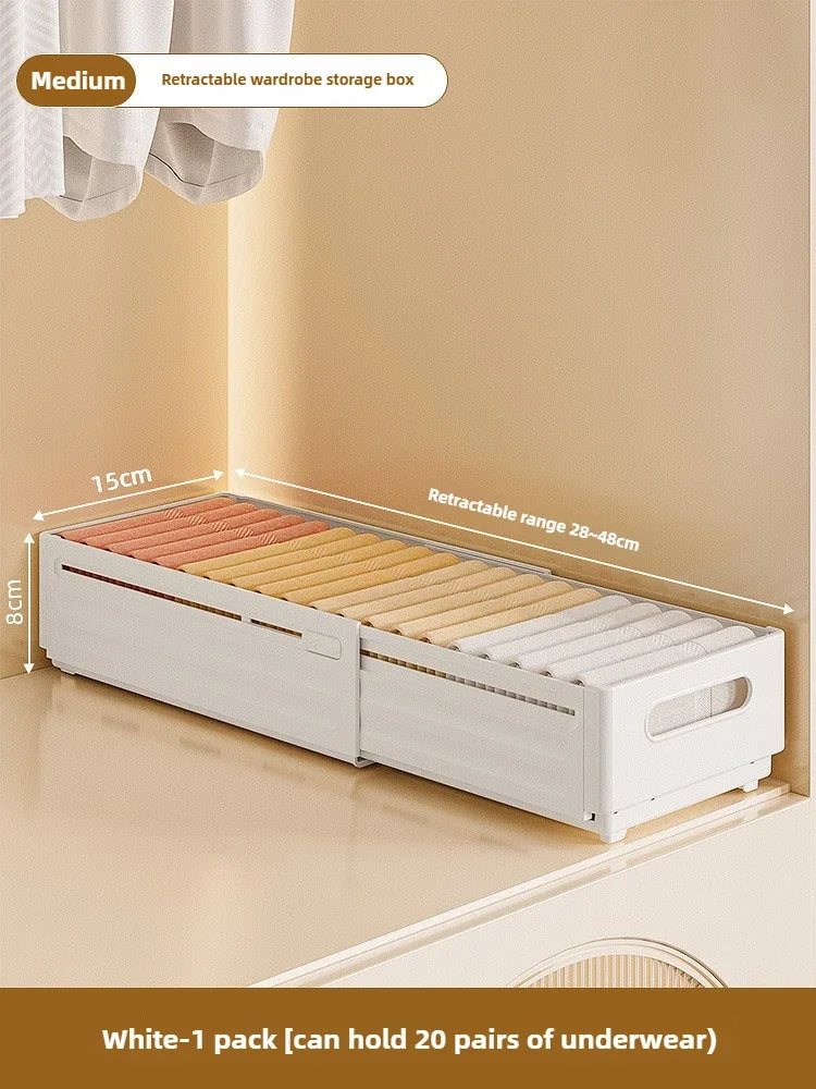 Adjustable Clothes Storage Box Closet Organizer Categorized
