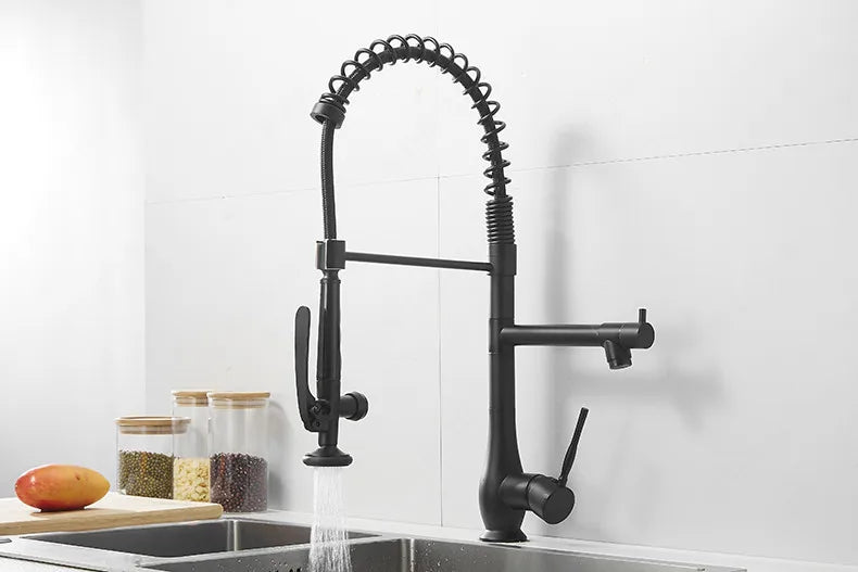 Faucet Brushed Nickel Pull-Out Faucet Swivel Dual Purpose