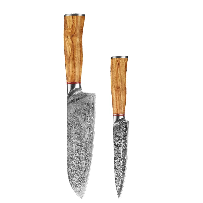 Damascus Steel Knife 67 Layer Slicing Knife Meat