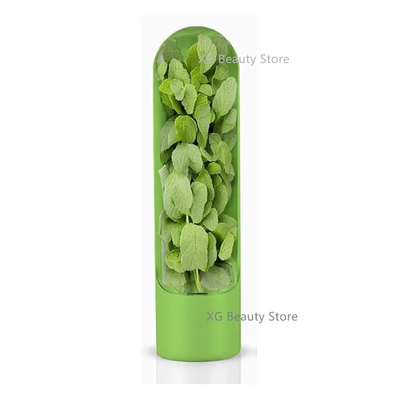 1/2/3pcs Green Fresh Herb Keeper Vanilla Vegetables Fresh