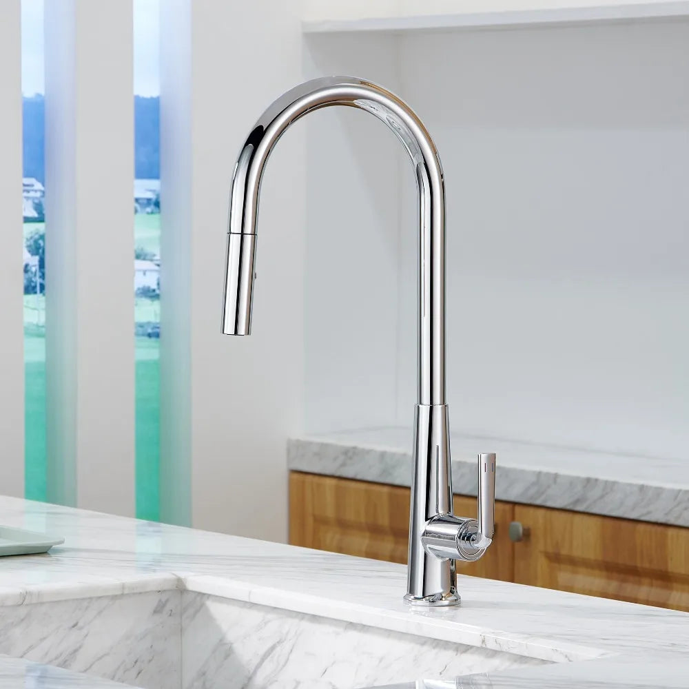 Brushed Gold Faucet Pull Out Sprayer Cold Water