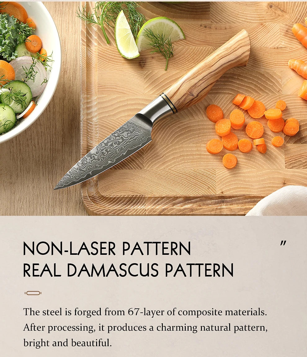 Hezhen Inch Paring Knife 67 Layer Damascus Steel