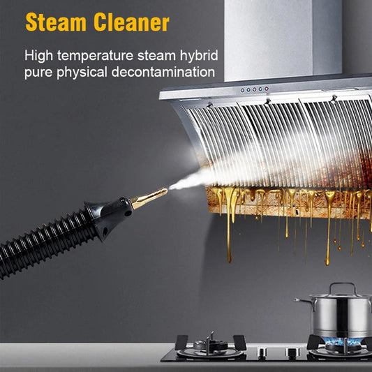 High Temperature Steam Cleaner 2600w Sterilization Pressure Jet